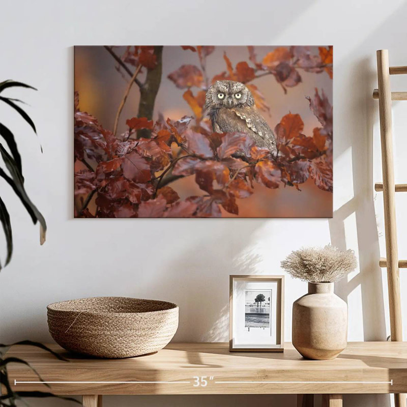Hibou Brampt solitaire, H 16 po x l 24 po