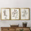 Neutral Botanical Study I - Ensemble de 3 impressions sur toile encadrées-1192051500-1192051496