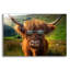  «Highland Cow Sun lunettes 2» par Rey Klimt, art mural en verre acrylique-1009961776