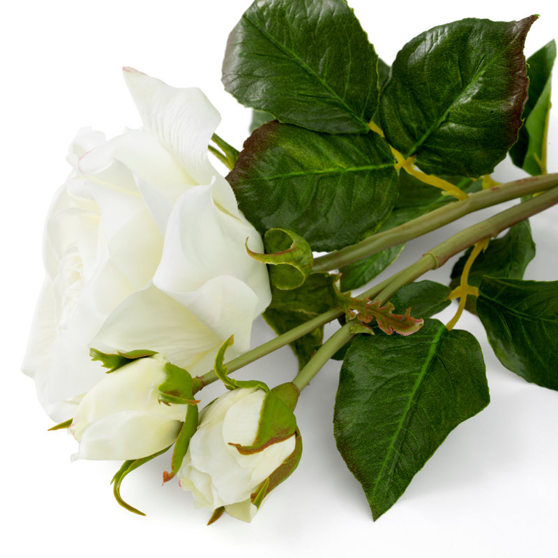 Bouquet Of Roses Three Tone White Real Touch 72 Pcs/3 Varieties, White
