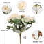 Arrangement