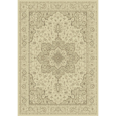 Stewartsville Oriental Indoor Rug