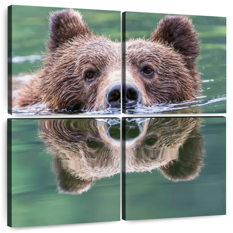 Brampt Grizzly Bear Swimming Reflection, 26" H x 26" W