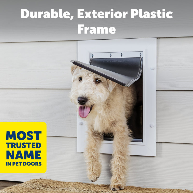 PetSafe Wall Entry Pet Door Small