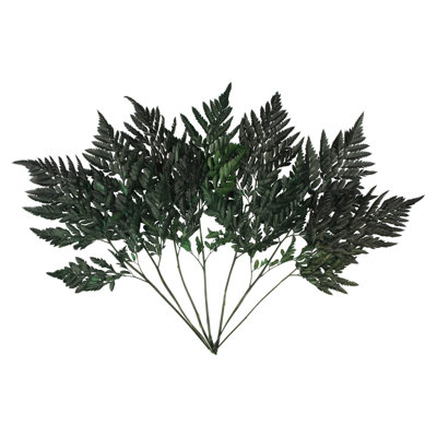 0.0625'' Plant