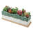 Wilbraham Ceramic Indoor / Outdoor Planter Box