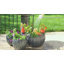Pot de fleurs d'extérieur Sharlita-1517088516-1517088517