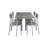 Modem 5 Piece Dining Table Set
