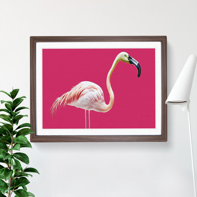 Tranquil Flamingo - Single Picture Frame Print