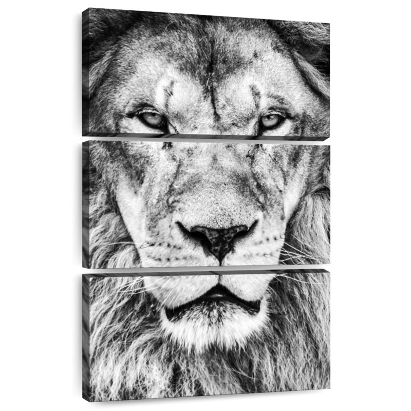 Tête de lion Brampt, H 50 po x l 32 po