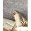 Tapis oriental-651845446-655401815