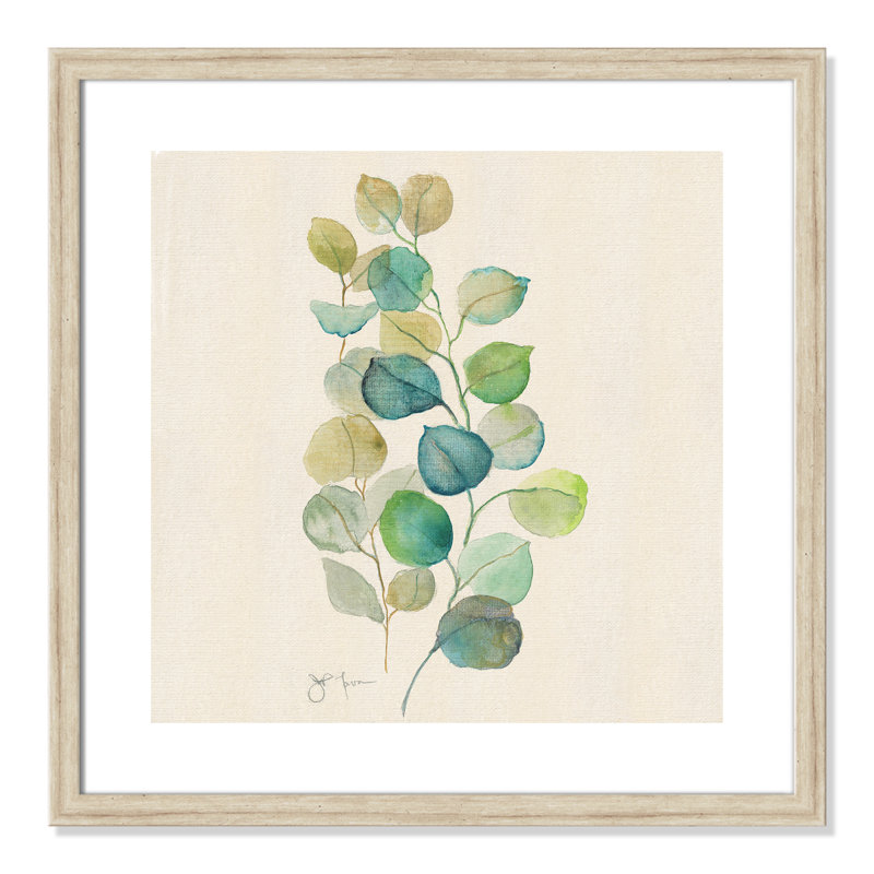 «Eucalyptus II», reproduction encadrée