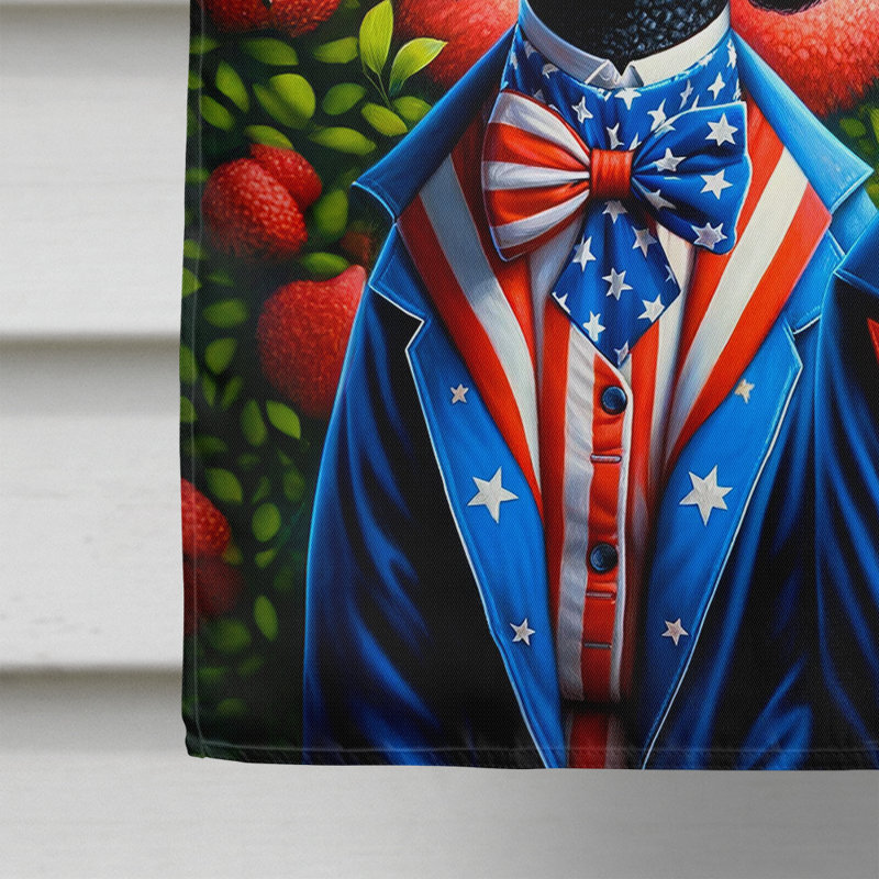 Drapeau «All American House», Caniche à rayures bleues / rouges
