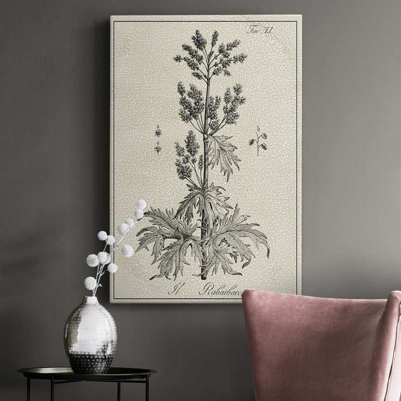 Impression sur toile antique antique botanique III, H 18 po x l 12 po x P 1 po