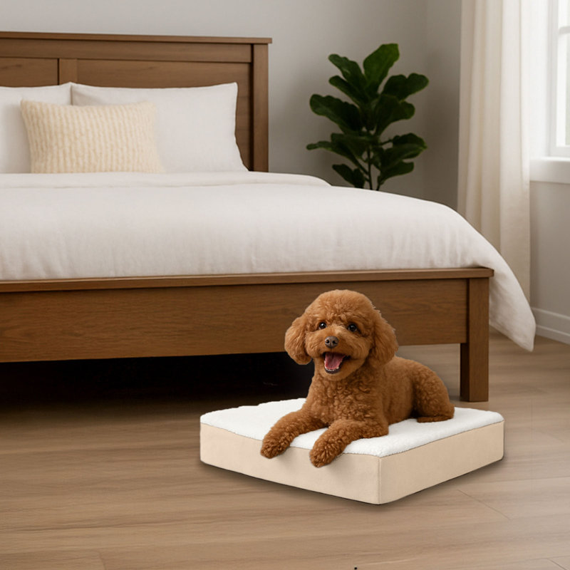 Lit pour chien orthopédique 2 couches PETMAker, Petit (H 4 po x l 20 po x P 15 po), Tanné