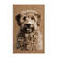  Tapis lavable pour chiens Lagotto Romagnolo-244466075
