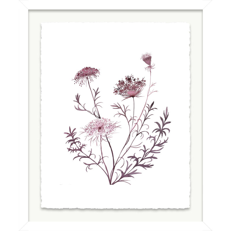 Queen Anne's Lace No. 20