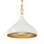 1 luminaire suspendu