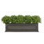 Berenice Handmade Window Box Planter-14486380