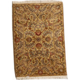 Wool Oriental Area Rug in Brown