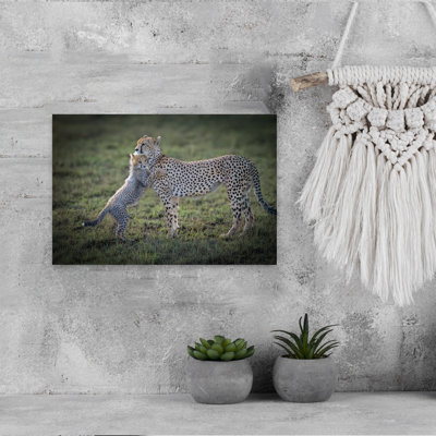 Cheetah Cub Embrace Playful Contemporary Cat Animal Nature Wall Art Print by Jeffrey C. Sink - 1 Piece Wrapped Canvas Wall Art