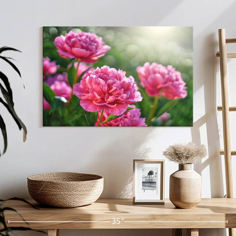 Harnek pivoines roses ensoleillées, H 16 po x l 24 po
