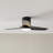 Heredia Indoor Ceiling Fan with Threaded Downrod, Midnight Black ABS blades and Handheld Remote
