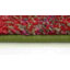 Tapis orange Dimonetta-1840640656