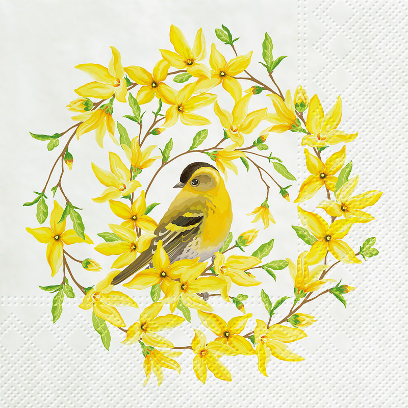 Serviettes jetables en papier