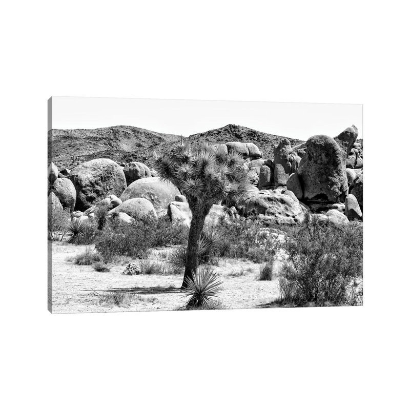 «Black California Series - Joshua Tree National Park III» par Philippe Hugonnard - reproduction de photo sur toile tendue