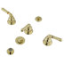 Polished Brass
