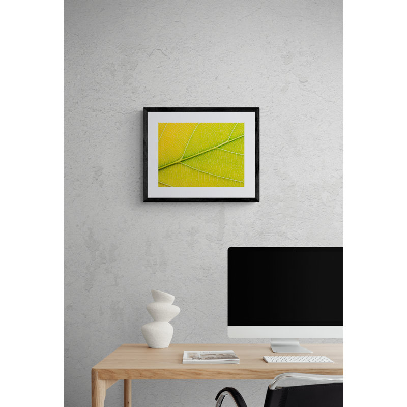Feuille d'automne par Philippe Moisoux - photographie, Papier avec cadre noir, H 17,2 po x l 21,2 po