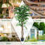 Ensemble de ficus artificiels en pot Vikki 2-961148632