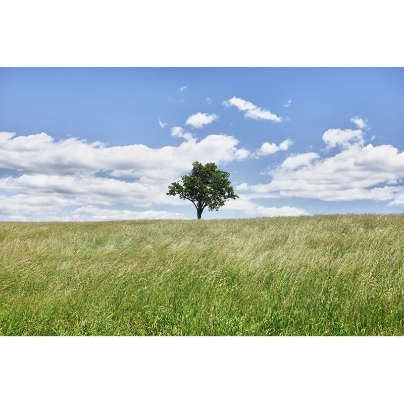 Beautiful Nature by Baranozdemir - No Frame Art Prints on Canvas, 30cm H x 46cm W