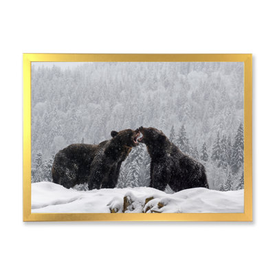 «Two Angry Brown Bear Fight in Winter Forest», reproduction sur toile