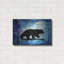 «Midnight Bear» par Lightbox Journal-377207959
