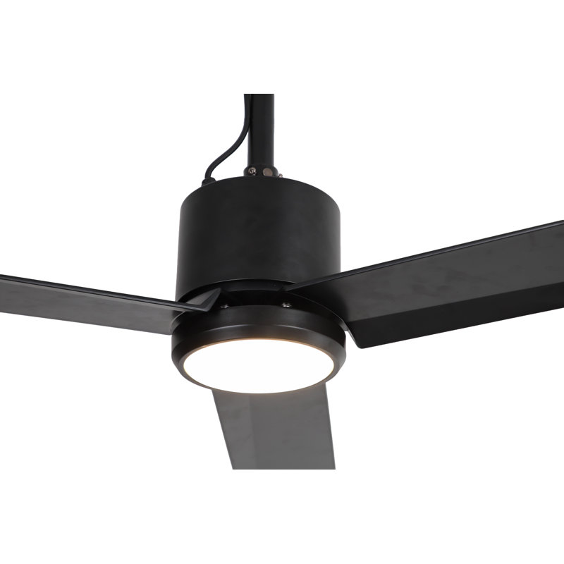 Ceiling Fan with LED Lights
