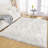 Leosvel Faux Sheepskin Indoor Rug-1674778311