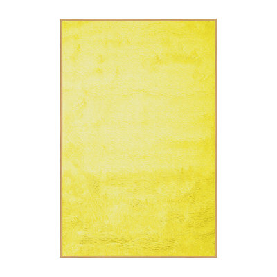 Performance Indoor Rug