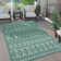 Jelany Indoor / Outdoor Rug