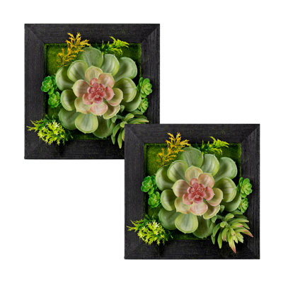 Succulent Wall Panel Arrangement in Planter