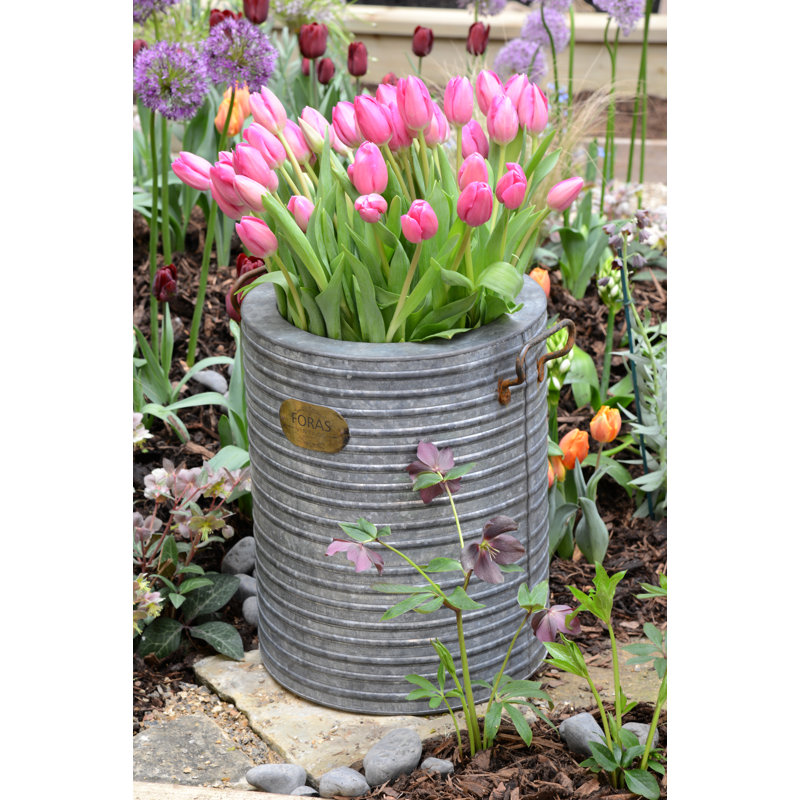 Becker Metal Pot Planter, 49.7cm H x 47.5cm W x 47.5cm D