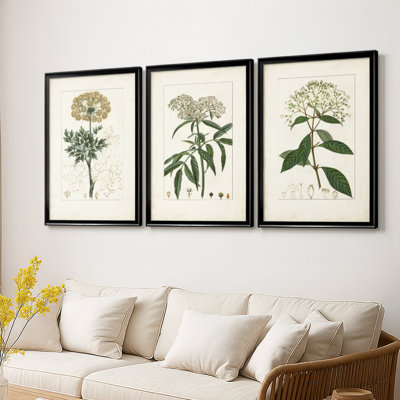 Antique Turpin Botanical VII - Toile tendue avec châssis sur mesure - 3 pièces