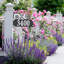 Nite Bright Scroll Reflective Address Post Lawn Insert