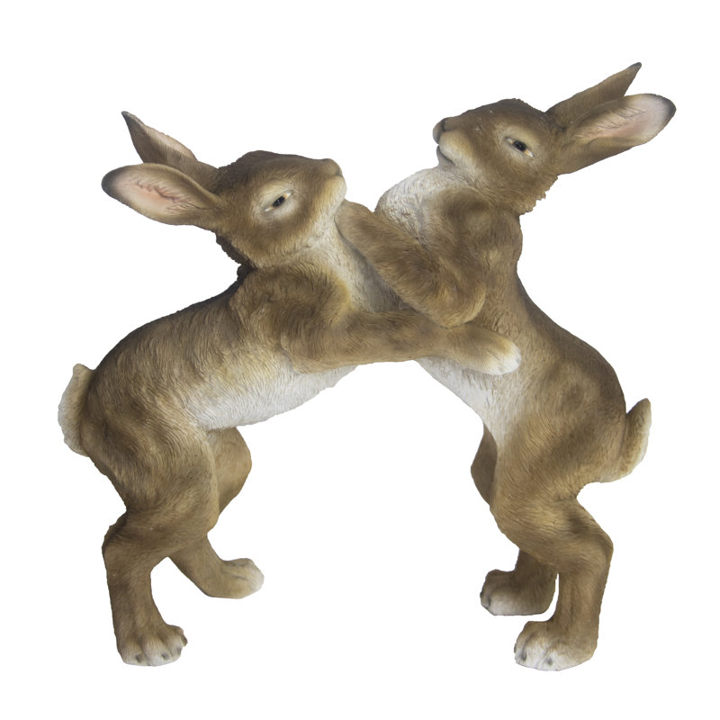 Hares Boxing