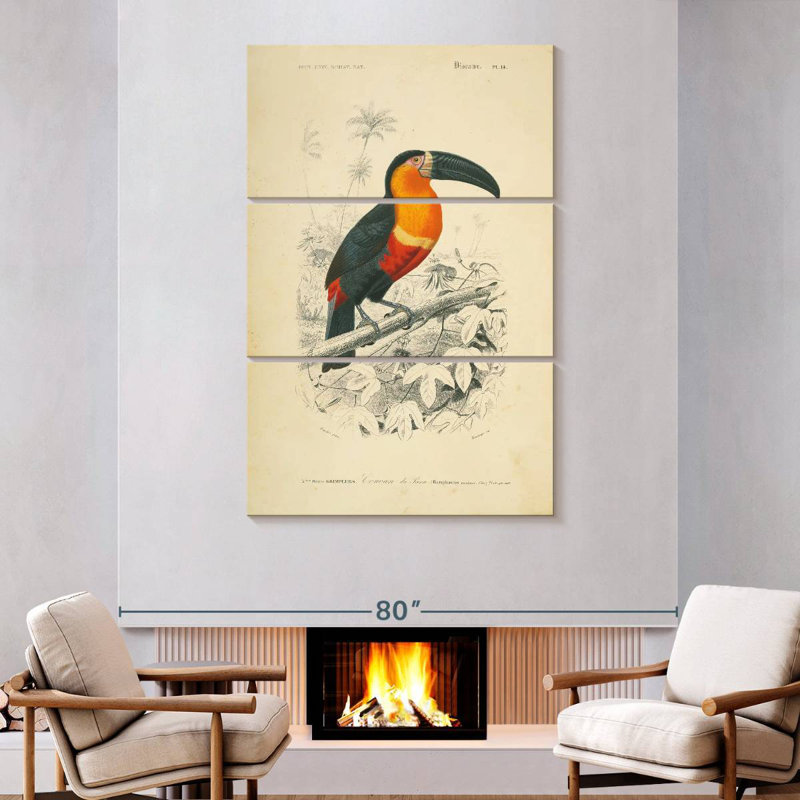 Brampt Toucan Du Para, 74" H x 48" W