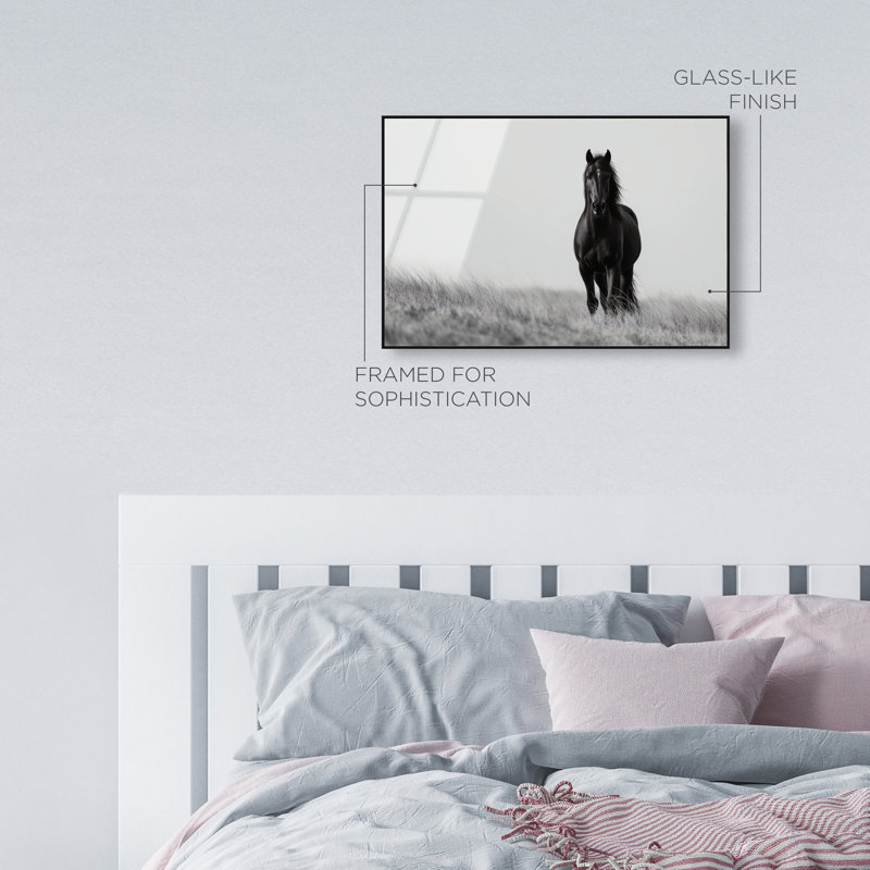 Lone Stallion I Print, 21" H x 31" W, Black Floater Frame