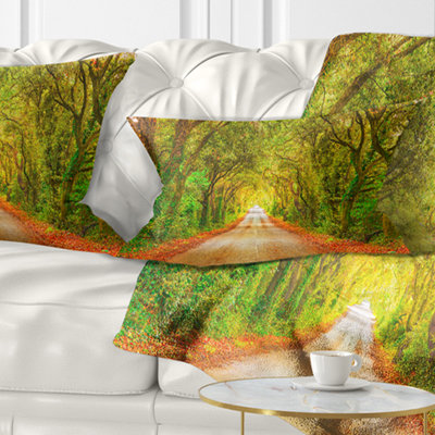 Reversible Throw Pillow