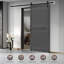 Porte de grange en panneau de fibres à densité moyenne, plaque de porte de grange solide recouverte d'une surface en PVC imperméable, assemblage simple, porte seulement-98194253-104611370