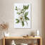 Harnek Magnolia Morning II-108370531